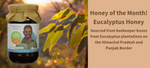 Eucalyptus Honey: Nutritional Benefits of your Monsoon Cure!