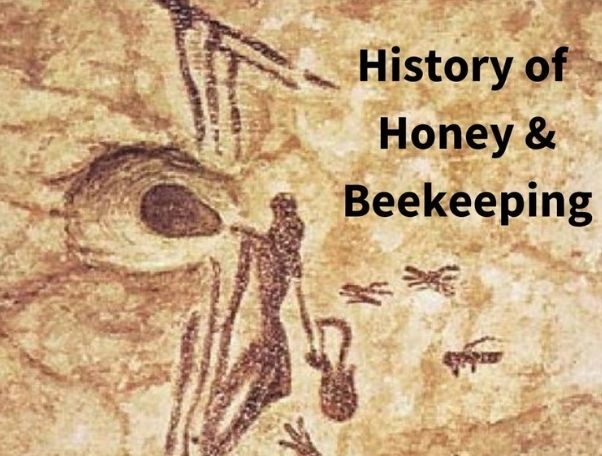 History of Honey & Beekeeping!