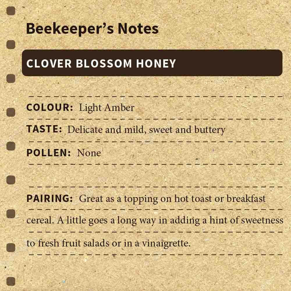 
                  
                    Clover Blossom Honey
                  
                