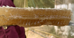 
                  
                    Cut Honeycomb with Honey
                  
                