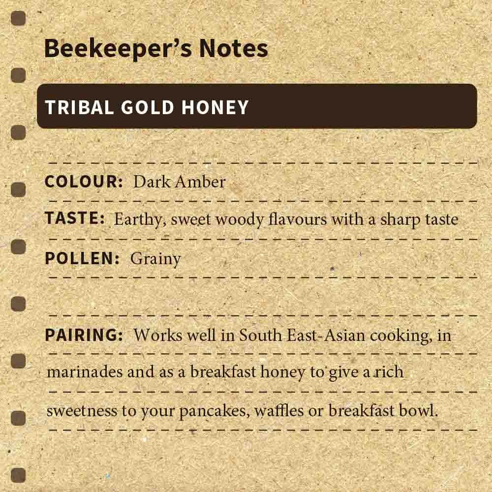 
                  
                    Tribal Gold Honey
                  
                